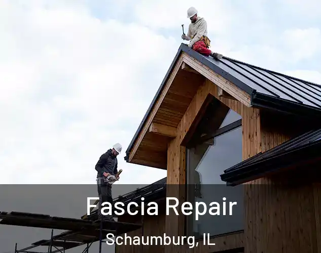  Fascia Repair Schaumburg, IL