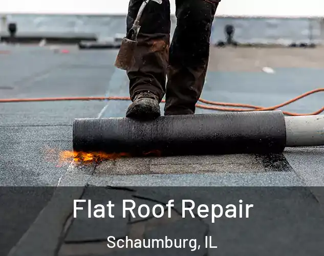  Flat Roof Repair Schaumburg, IL