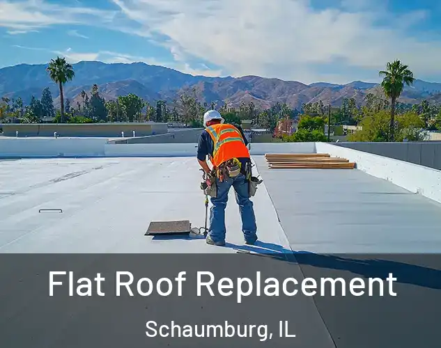  Flat Roof Replacement Schaumburg, IL