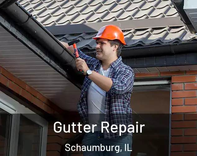  Gutter Repair Schaumburg, IL