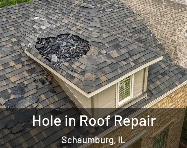  Hole in Roof Repair Schaumburg, IL
