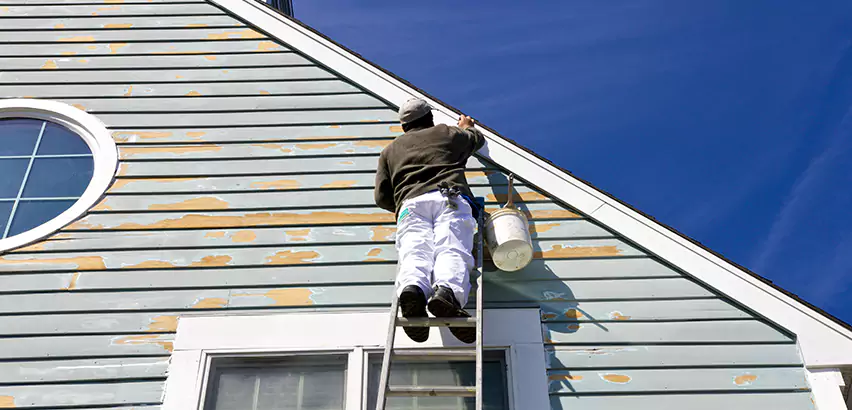 Professional Roof and Siding Repair Services in Schaumburg, IL