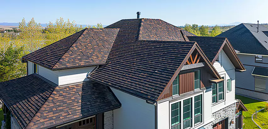 Residential Shingle Roofing in Schaumburg