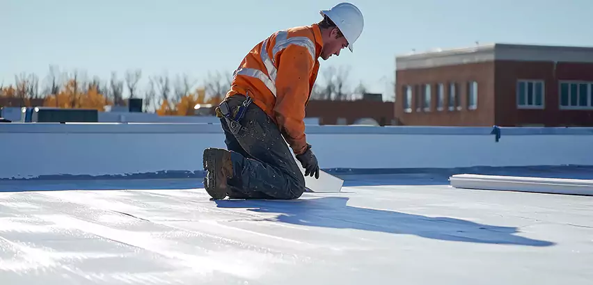 Commercial Roof Coating in Schaumburg