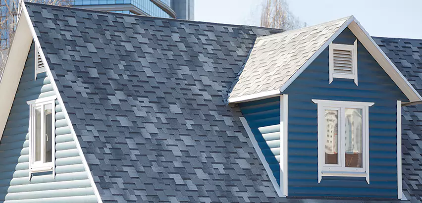 Shingle Roof Maintenance in Schaumburg