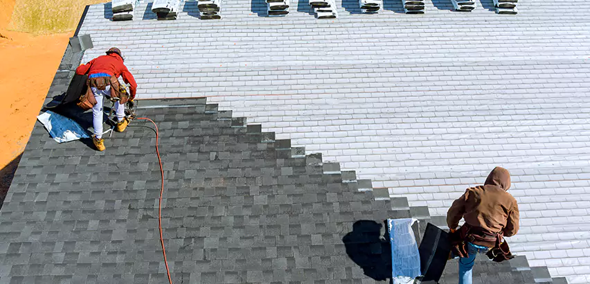 Cement Tile Roof Restoration in Schaumburg