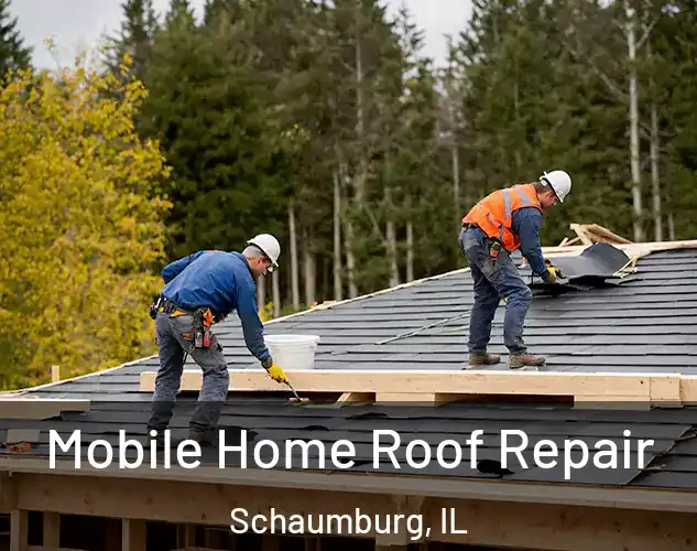  Mobile Home Roof Repair Schaumburg, IL