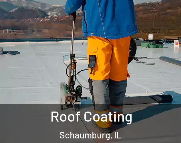  Roof Coating Schaumburg, IL
