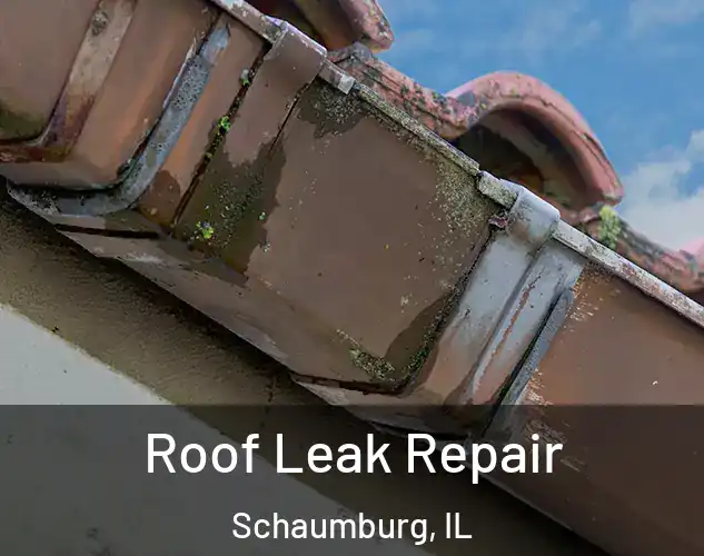  Roof Leak Repair Schaumburg, IL