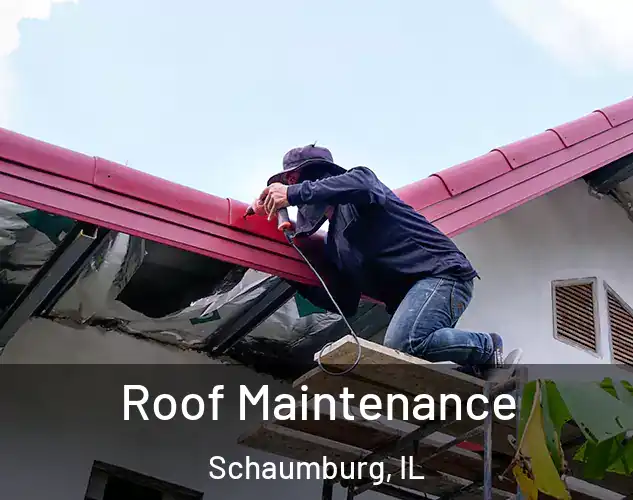  Roof Maintenance Schaumburg, IL