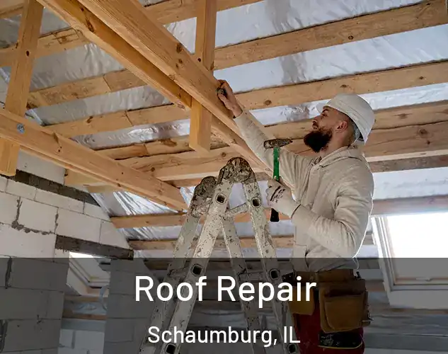  Roof Repair Schaumburg, IL