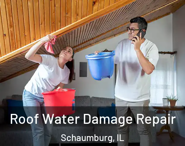  Roof Water Damage Repair Schaumburg, IL