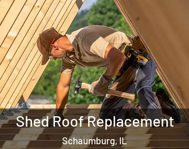  Shed Roof Replacement Schaumburg, IL