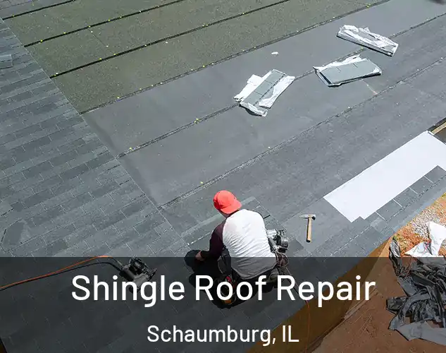  Shingle Roof Repair Schaumburg, IL